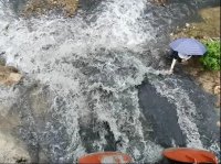氨氮濃度超地表水Ⅲ類標準15.3倍，廣東茂名被公開通報！